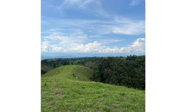 Venta de lotes campestres en parcelación Alcalá, Valle del Cauca