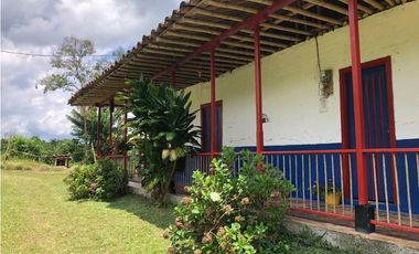 Se Vende Finca en Quimbaya Quindio