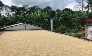 Se Vende Finca en Quimbaya Quindio