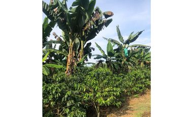 Se Vende Finca en Quimbaya Quindio