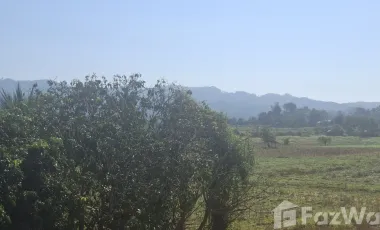 3 Bedroom House for sale in Si Phum, Nan
