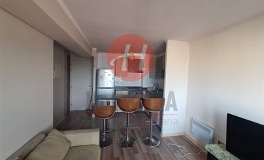 Departamento en Arriendo en Edificio Centro Lagos