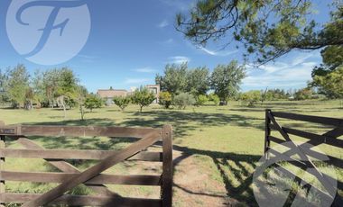 Casa de Campo en Alquiler en Gobernador Castro | 0.5 hectárea con Piscina, 4 Dormitorios y Equipada