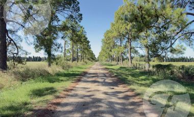 Casa de Campo en Alquiler en Gobernador Castro | 0.5 hectárea con Piscina, 4 Dormitorios y Equipada