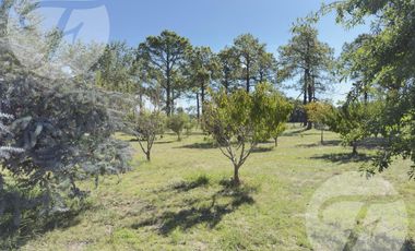 Casa de Campo en Alquiler en Gobernador Castro | 0.5 hectárea con Piscina, 4 Dormitorios y Equipada