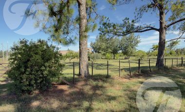 Casa de Campo en Alquiler en Gobernador Castro | 0.5 hectárea con Piscina, 4 Dormitorios y Equipada