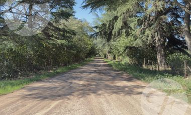 Casa de Campo en Alquiler en Gobernador Castro | 0.5 hectárea con Piscina, 4 Dormitorios y Equipada