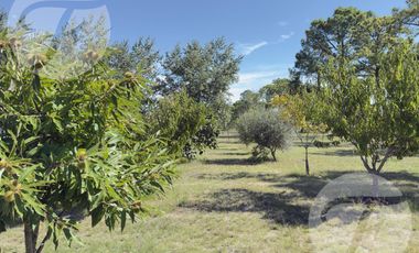 Casa de Campo en Alquiler en Gobernador Castro | 0.5 hectárea con Piscina, 4 Dormitorios y Equipada