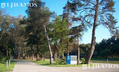 Depósito en Alquiler en  Pilar