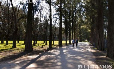 Depósito en Alquiler en  Pilar