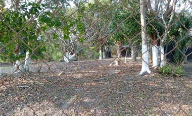 Casa en Venta en Juana Moza, Tuxpan, Veracruz.