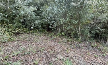 Parcela en Venta en Entrada Cruz Blanca en sector Gualapulli