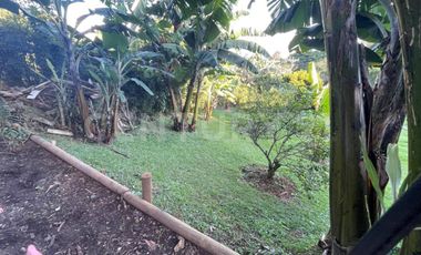 ALQUILER CASA EN DAPA