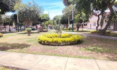 Casa en SAN PEDRITO