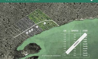 Sitio en Venta en Lago Verde / Patagonia