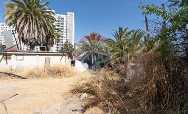 Esquina Estratégica 2000M2