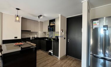 DEPTO EN PROVIDENCIA 2D AMPLIOS 2B ESTAC Y BODEGA