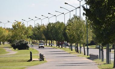 Terreno - Lote - Pilar del este - Santa Elisa - Lote 72 - Perimetral