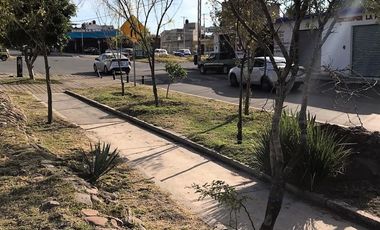 Local  en renta Prol. Pasteur Sur