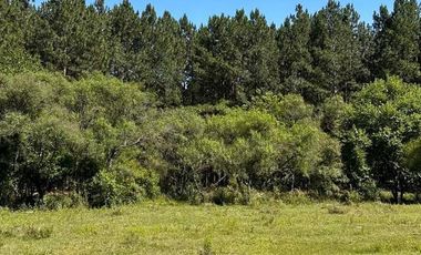 Campo en  San Bonifacio