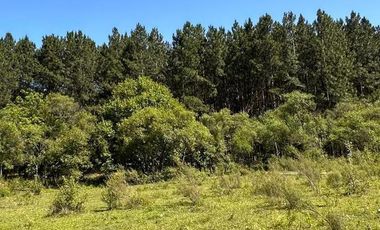 Campo en  San Bonifacio