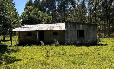 Campo en  San Bonifacio