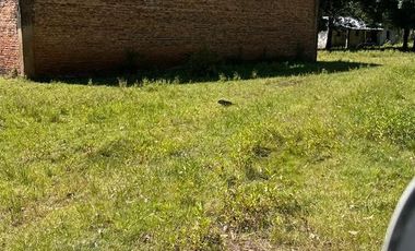 Campo en  San Bonifacio
