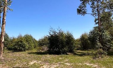 Campo en  San Bonifacio