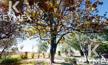 VENTA ESTANCIA SANTA ANGELA (Hotel Boutique)