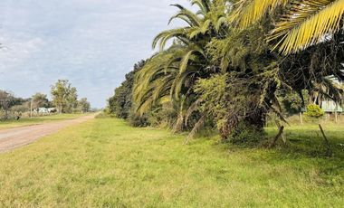 Venta de terreno de 1800 m2 arbolado en Bella Vista, Concepción del Uruguay, Entre Ríos