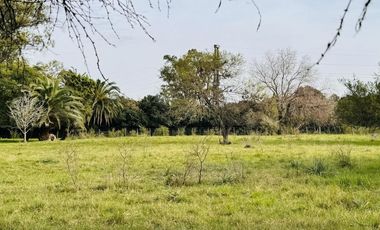 Venta de terreno de 1800 m2 arbolado en Bella Vista, Concepción del Uruguay, Entre Ríos