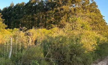 Campo en Clodomiro Ledesma