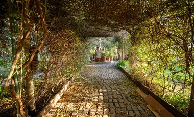 CAMPO CASCO URBANO LOBOS, PROVINCIA DE BUENOS AIRES