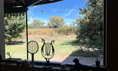 CAMPO CASCO URBANO LOBOS, PROVINCIA DE BUENOS AIRES