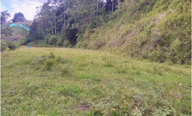Lote en venta de 4 hectares La Estrella Antioquia