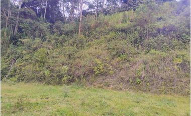 Lote en venta de 4 hectares La Estrella Antioquia