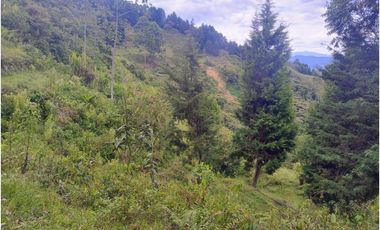 Lote en venta de 4 hectares La Estrella Antioquia