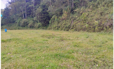 Lote en venta de 4 hectares La Estrella Antioquia