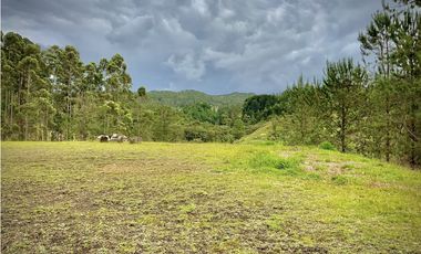 Venta Lote Parcelacion El Retiro