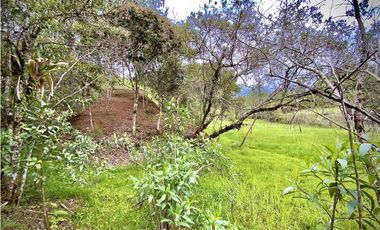 Venta Lote Parcelacion El Retiro