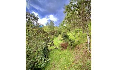 Venta Lote Parcelacion El Retiro