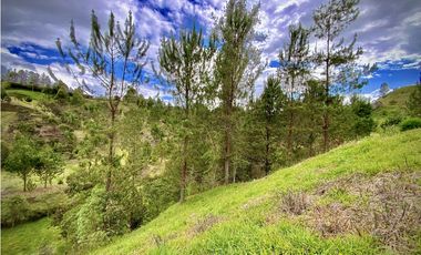 Venta Lote Parcelacion El Retiro