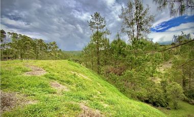 Venta Lote Parcelacion El Retiro