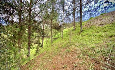 Venta Lote Parcelacion El Retiro