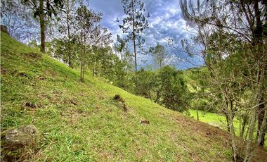 Venta Lote Parcelacion El Retiro