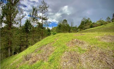 Venta Lote Parcelacion El Retiro
