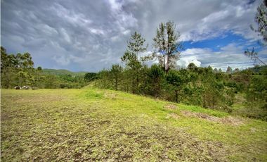 Venta Lote Parcelacion El Retiro