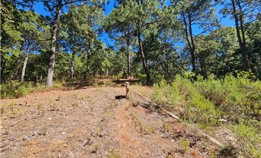 Bonito terreno en zona de bosque de mazamitla jalisco