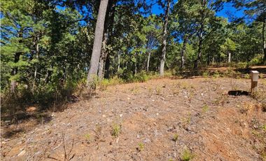 Bonito terreno en zona de bosque de mazamitla jalisco