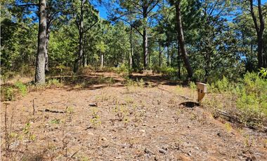 Bonito terreno en zona de bosque de mazamitla jalisco